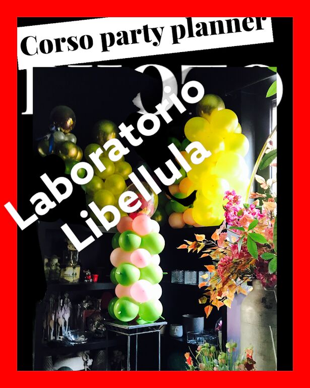 5247639  corso  party planner online